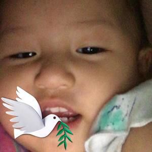 Meet your Posher, Lam